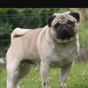 Meet your Posher, Scott